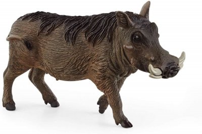 SCHLEICH Figurine Le phacoch&egrave;re Wild Life 14843 Fabrication de haute qualit&eacute;