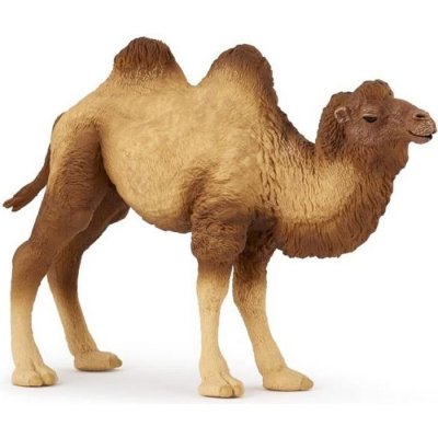 PAPO Figurine  Bactriane De Chameau 