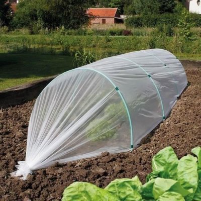 NORTENE Film de for&ccedil;age anti-insectes - La pi&egrave;ce de 1,40m x 5m - Willemse