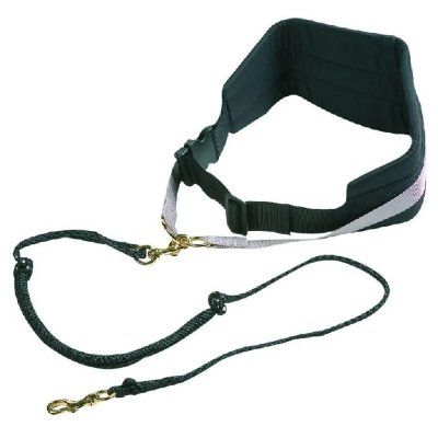 FLAMINGO  Ceinture pour chien avec laisse &eacute;lastique Canicross Noir