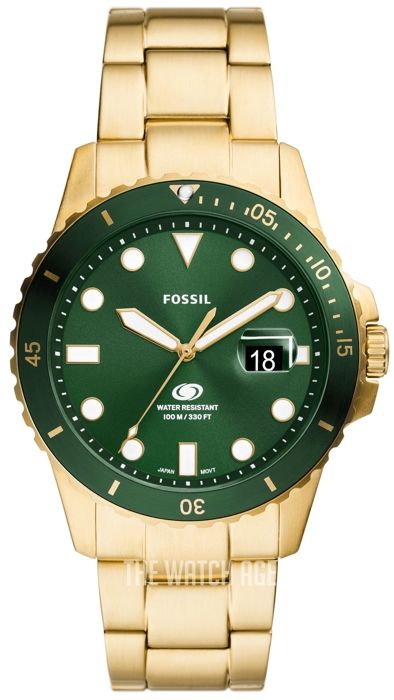 FOSSIL  Montre pour hommes  BLUE DIVE FS6030