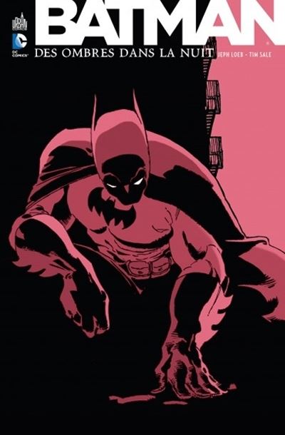 Fournisseur Cultura Batman : Des Ombres Dans La Nuit