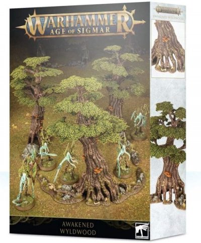 GAMES WORKSHOP  Warhammer AoS - Awakened Wyldwood 99120204023 Noir