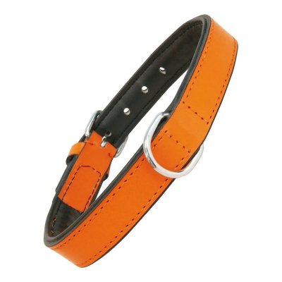 GLORIA  Collier pour chien en Cuir  Padded 45 cm orange T.U