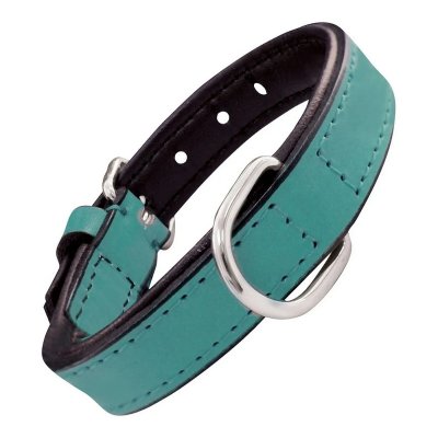 GLORIA PETS Gloria Collier pour Chien en Cuir Rembourr&eacute; turquoise T.30 cm