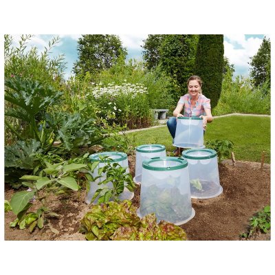 GRAF  - Kit 3 cloches sunny avec piquets int&eacute;gr&eacute;s