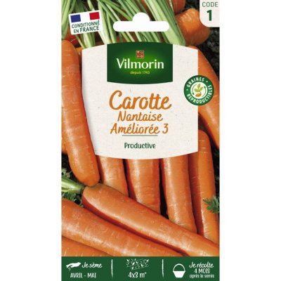 VILMORIN Graines de Carotte Nantaise am&eacute;lior&eacute;e 3