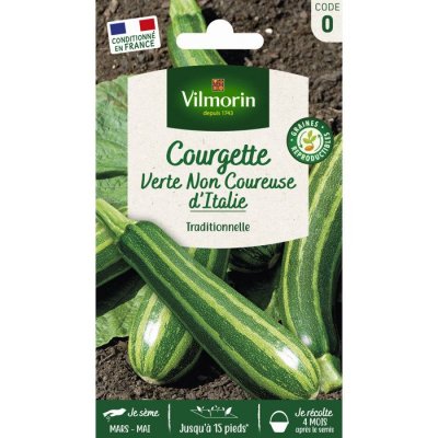 VILMORIN Graines de Courgette Verte non coureuse d' Italie