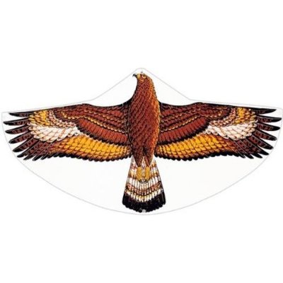 GUNTHER  - 1146 - Jeu De Plein Air - Cerf-Volant Monofil - Steinadler En Feuilles De Pe
