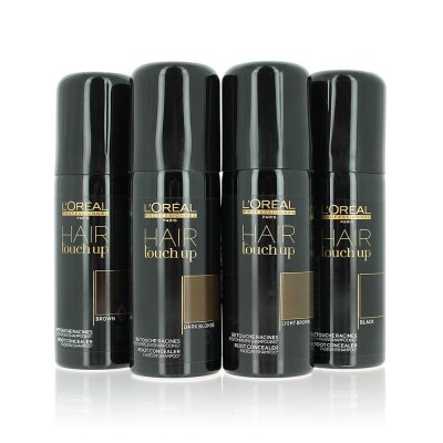 L OREAL PROFESSIONNEL Hair Touch Up Brown