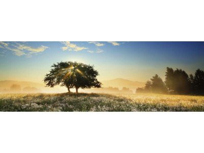 HEYE - Other License Puzzle 1000 pcs Panorama, 29901