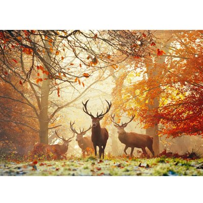 HEYE  Puzzle Stags 1000 Pi&egrave;ces, 29805