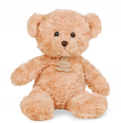 HISTOIRE D OURS Histoire d'Ours Ours C&acirc;lin Peluche Miel 21 cm HO2469FLORAJ