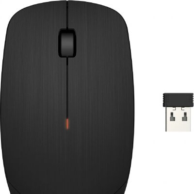 HP  wireless mouse x200 0194850334122