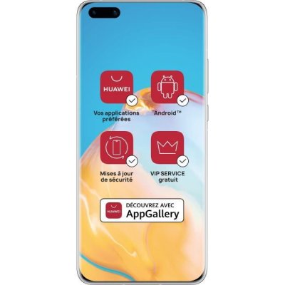 HUAWEI  P40 Pro 5G argent 256 Go