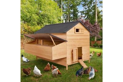 IDMARKET ID MARKET - Poulailler chalet en bois 15 &agrave; 18 poules avec pondoir