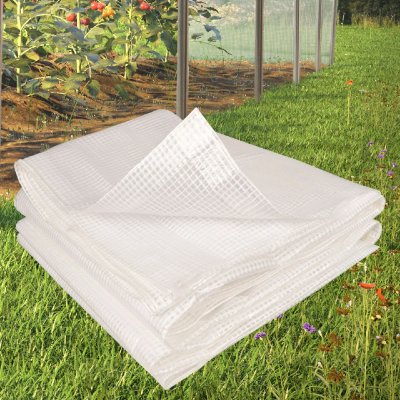IDMARKET  - B&acirc;che arm&eacute;e transparente 8x12 m renforc&eacute;e