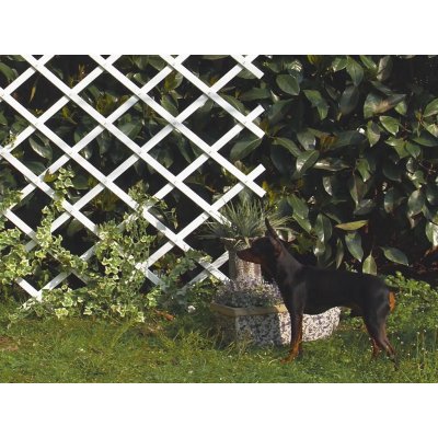INTERMAS  - treillis extensible en pvc 1 x 2 m blanc treilliflex 170106