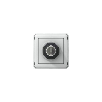 LEGRAND Interrupteur &Agrave; Cl&eacute; &Eacute;tanche Ronis N&deg;455 2 Positions - Gris