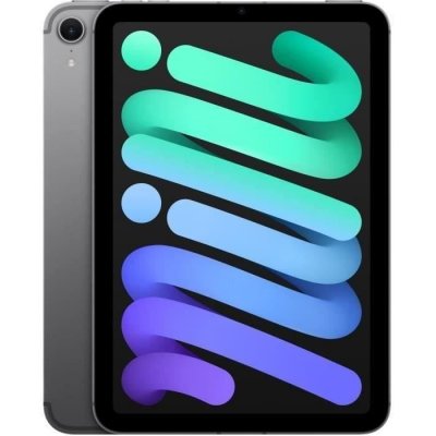 iPad Mini 8,3'' 128 Go Gris Sideral 5G 7 eme generation 2024