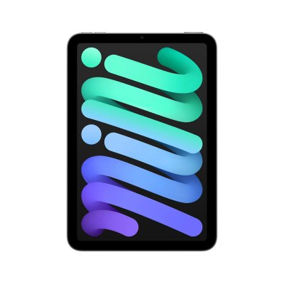 iPad mini Wi-Fi 512 Go - Gris sid&eacute;ral