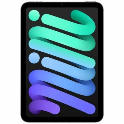 iPad mini Wi-Fi + Cellulaire 128 Go - Gris sid&eacute;ral