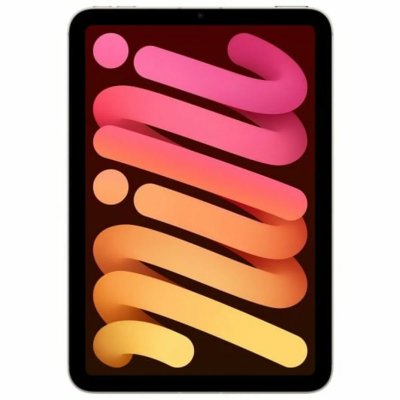 iPad mini Wi-Fi + Cellulaire 256 Go - Starlight