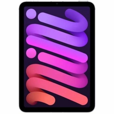iPad mini Wi-Fi + Cellulaire 256 Go - Violet