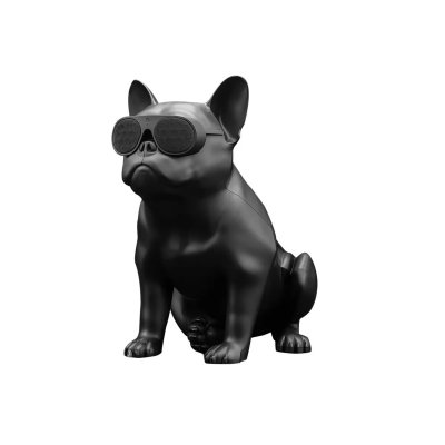 JARRE TECHNOLOGIE Jarre AeroBull XS1 - Enceinte sans fil Bluetooth - Noir