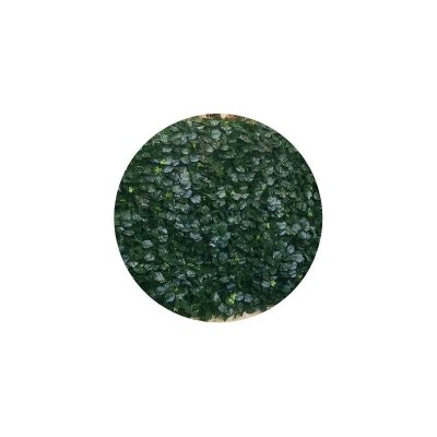JET7GARDEN  - Haie artificielle feuillage en rouleau Duo 1 x 3 m - Vert