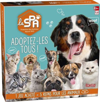 LANSAY Jeu classique  Spa Mission adoption 