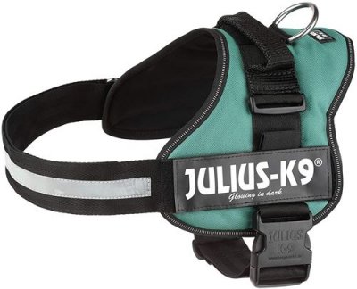 PAS DE MARQUE JULIUS-K9, 162DG-1, K9-Powergeschirr, Gr&ouml;&szlig;e: 1, Dunkelgr&uuml;n 