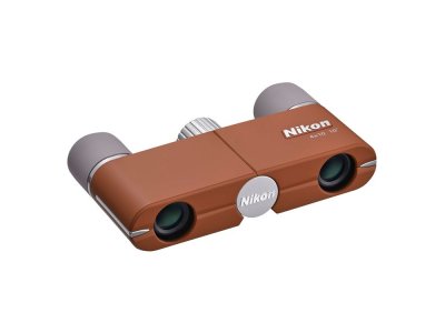 NIKON Jumelles  4x10 D CF Marron