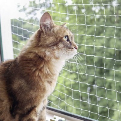 KERBL  Filet de protection pour chat - 6x3m - Transparent