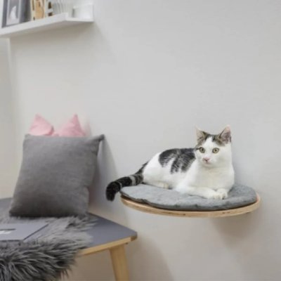 KERBL  Lit pour chats mural Tofana 35 x 50 cm Gris 81543