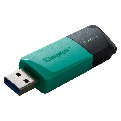 KINGSTON  DataTraveler Exodia M - Cl&eacute; USB - 256 Go - USB 3.2 Gen 1