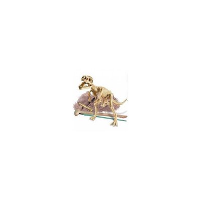 4M Kit de fouille Tyrannosaurus Rex PW
