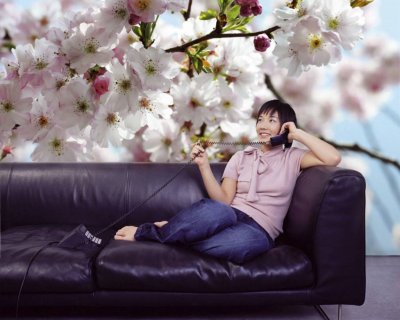 DECO SOON Komar 8-507 Photo Murale, Printemps, 368cm x 254cm