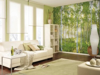 Komar - Photo murale de Sunday - Taille: 368 x 254 cm - vert