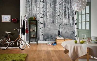 KOMAR  Photo Murale Panoramique Intiss&eacute;, 368cm x 248cm, Woods, XXL4-023
