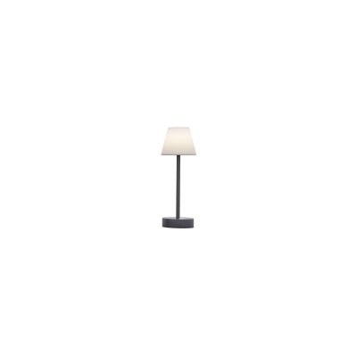 NEWGARDEN Lampe &agrave; poser int&eacute;rieure ext&eacute;rieure Lola Slim 32 cm - Anthracite