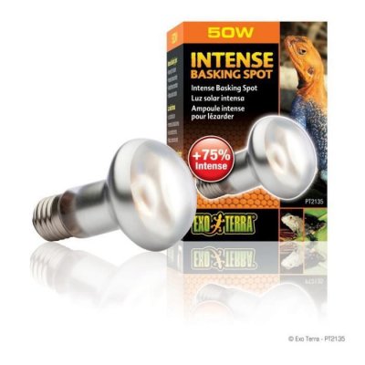 EXO TERRA Lampe chauffante Intense Basking Spot  50 w