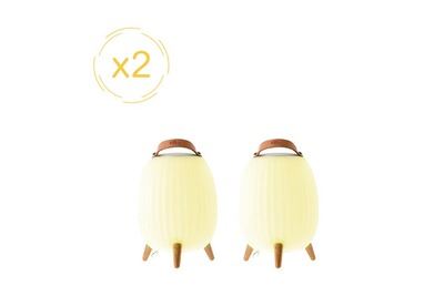 EZILIGHT Lanterne nomade musicale &reg; Ambiant M - Pack de 2 lampes