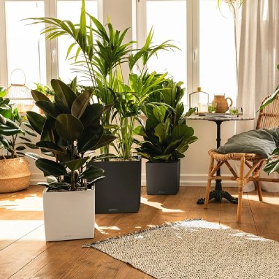 LECHUZA  Jardini&egrave;re CUBE 30 ALL-IN-ONE Charbon m&eacute;tallique