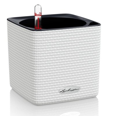 LECHUZA  - Pot Cube Color 14 Kit Complet Blanc - 14 cm - Blanc