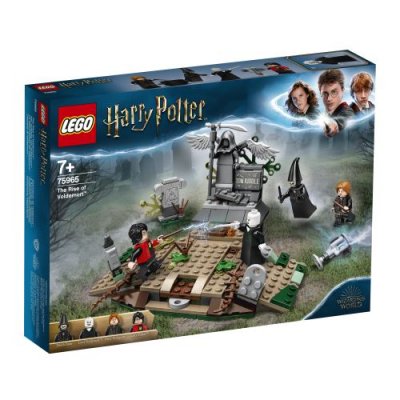 LEGO Harry Potter 75965 R&eacute;surrection de Voldemort