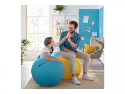 LEITZ  Ergo Cosy - Ballon d'exercice - 65 cm diameter - bleu calme