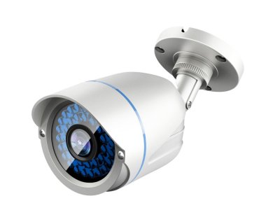 LEVELONE  ACS-5602 Cam&eacute;ra de s&eacute;curit&eacute; CCTV Ext&eacute;rieure Cosse Plafond/mur