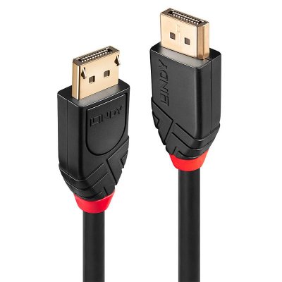 LINDY  - Cable DisplayPort - DisplayPort pour DisplayPort - 10 m