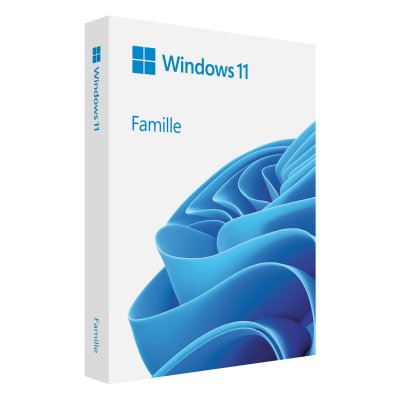 Logiciel syst&egrave;me exploitation Microsoft Windows 11 Home 64Bits COEM